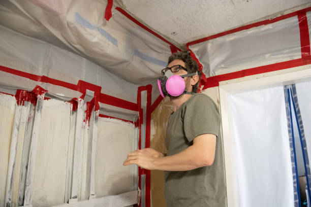 Mold Documentation for Insurance Claims in Rimersburg, PA