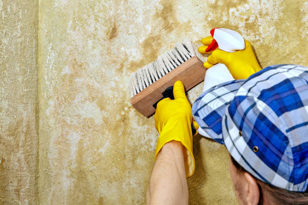 Best HVAC Mold Inspection and Cleaning  in Rimersburg, PA